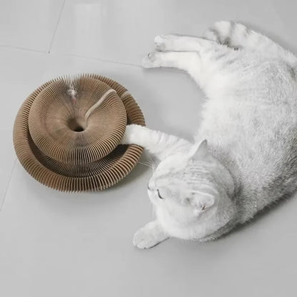 Magic Round Cat Scratcher Corrugated Scratching Post Toy