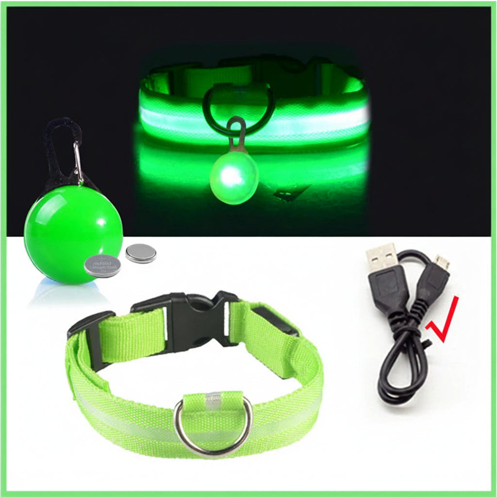 USB Charging LED Dog Collar With Detachable Pendant For Night Safety