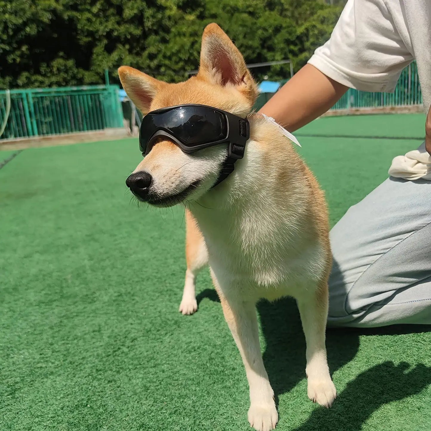 Pet Dog UV Protection Sunglasses Goggles For Small Medium Breeds