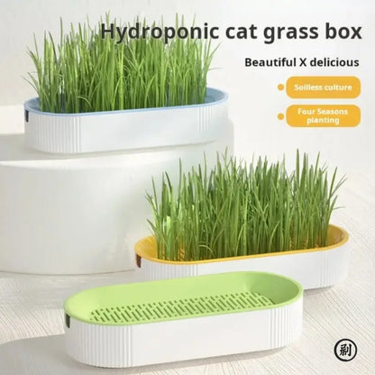 Hydroponic Cat Grass Growing Kit - Soilless Planting Pot Set