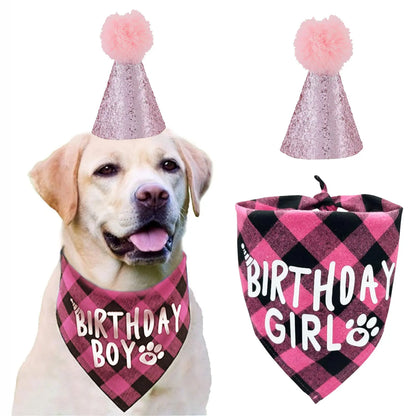 Dog Birthday Party Supplies Set With Hat And Bandana For Medium Large Dogs