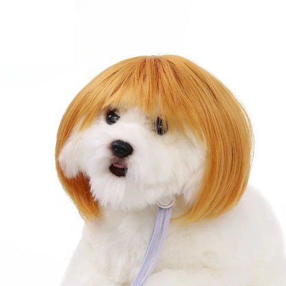 Pet Wig for Dogs and Cats - Halloween Costume Accessory with DIY Trim