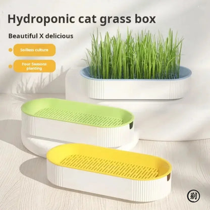Hydroponic Cat Grass Growing Kit - Soilless Planting Pot Set