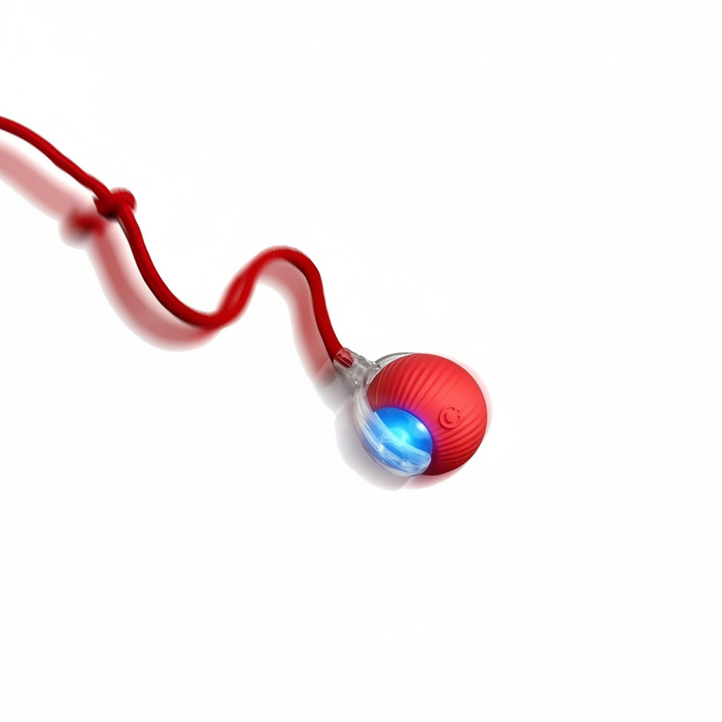 Interactive Rolling Ball Toy for Dogs and Cats - Smart Pet Training