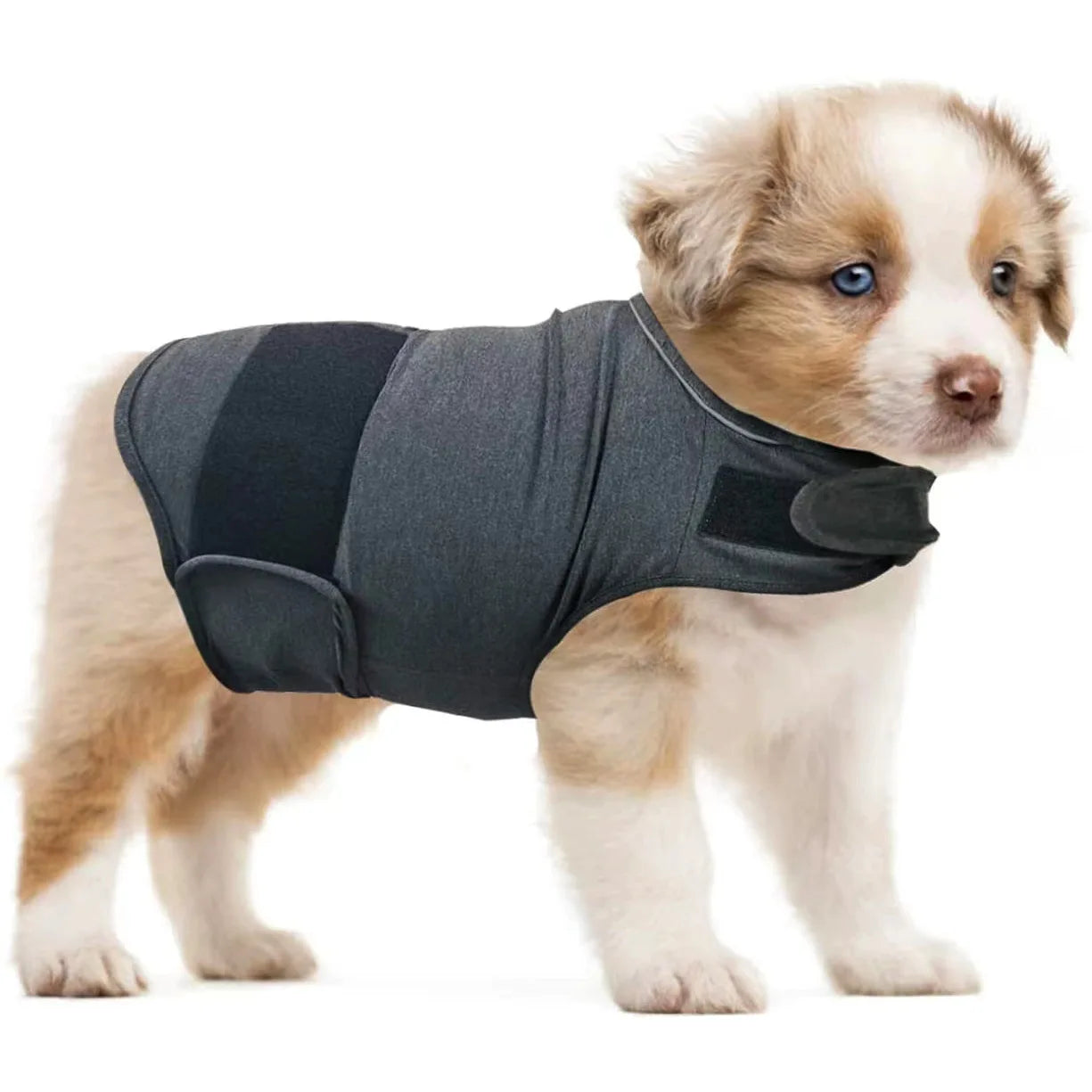 Dog Anxiety Vest - Breathable Stress Relief Thunder Jacket