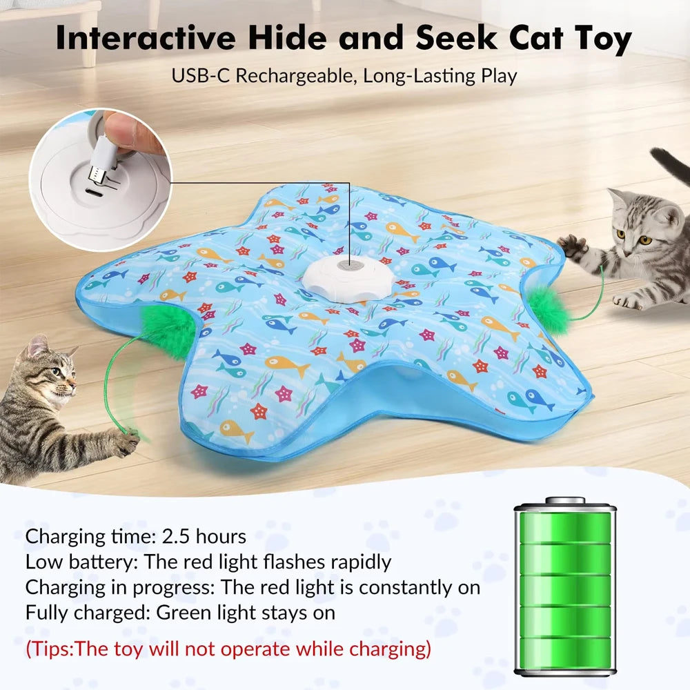 Interactive Cat Toy Hide And Seek With Motion Activated Features