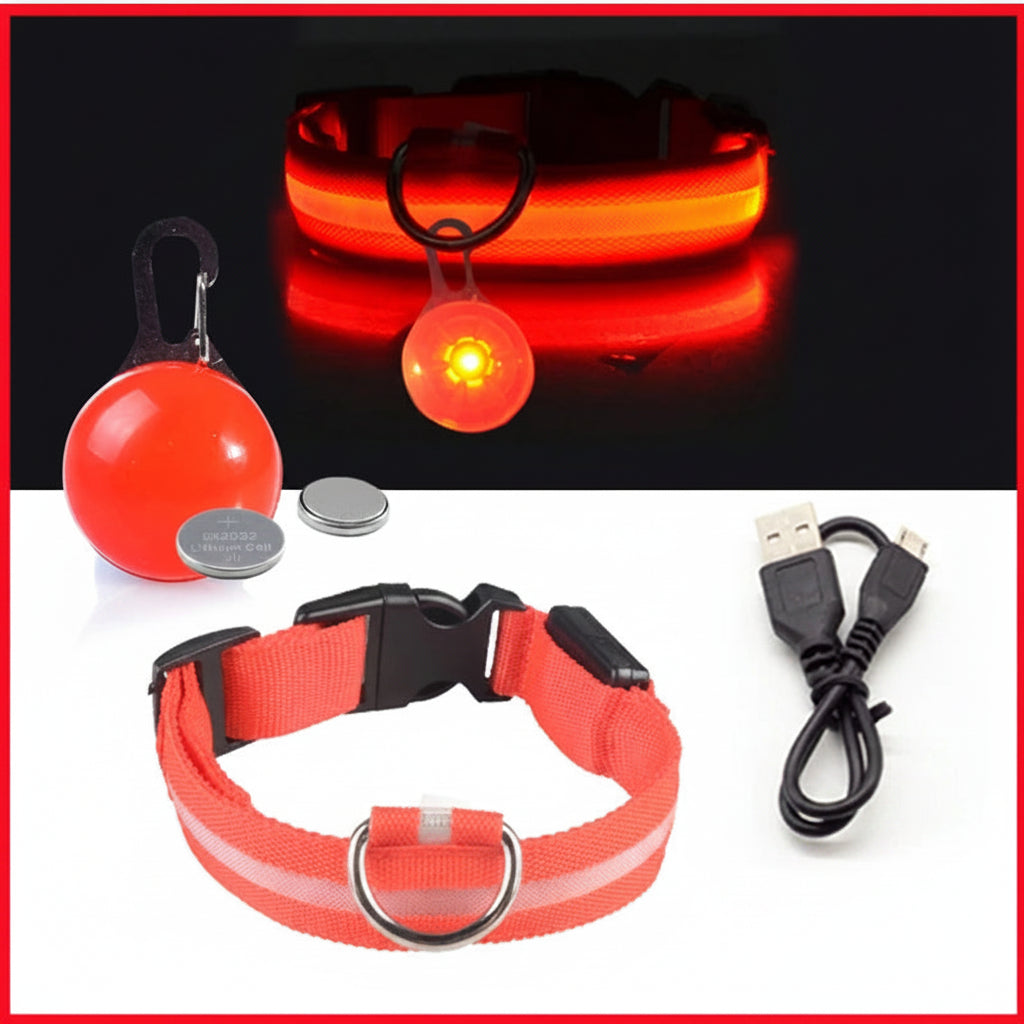 USB Charging LED Dog Collar With Detachable Pendant For Night Safety