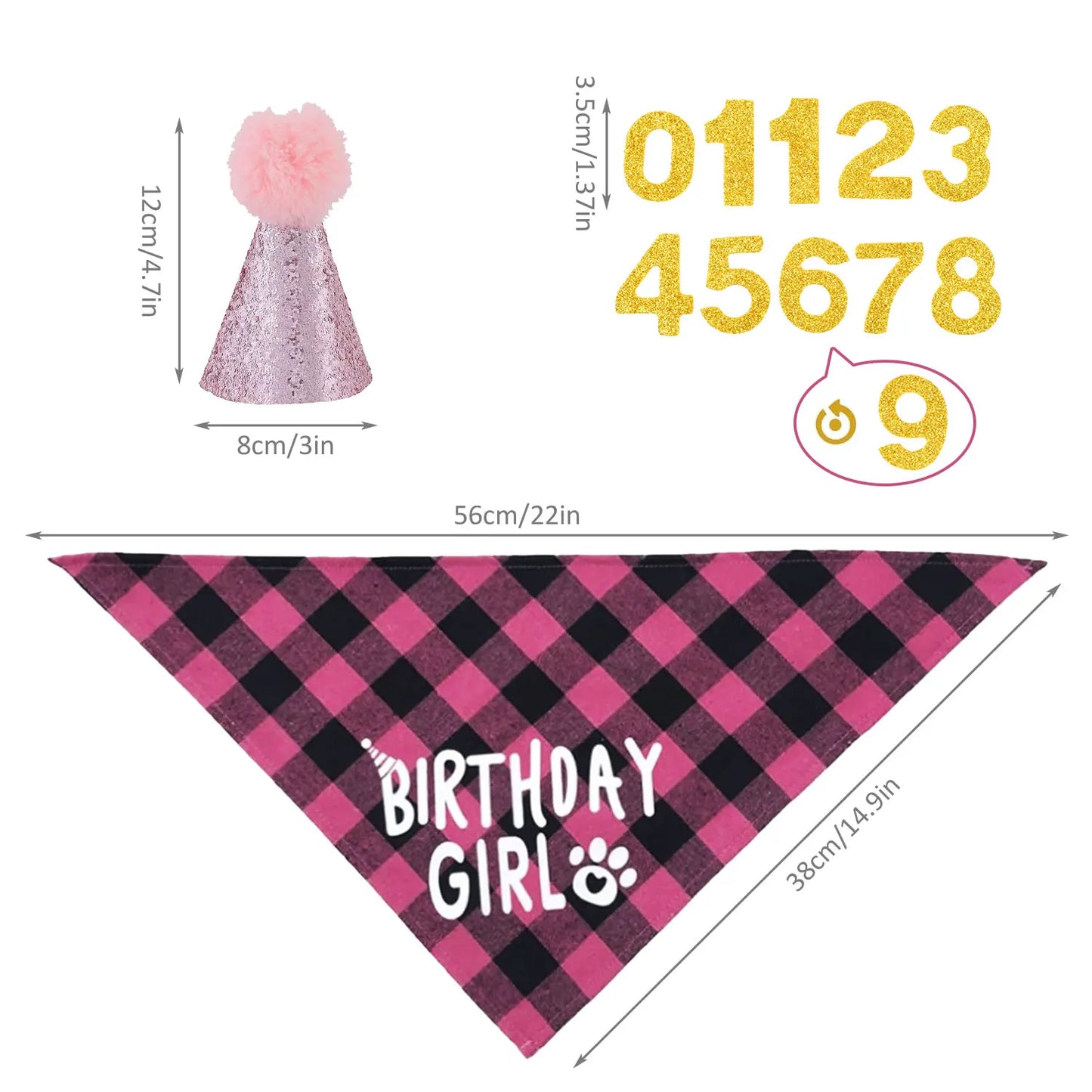 Dog Birthday Party Supplies Set With Hat And Bandana For Medium Large Dogs