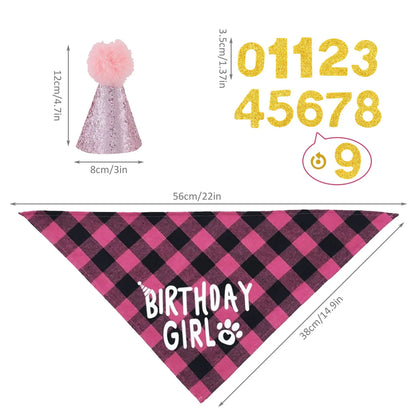 Dog Birthday Party Supplies Set With Hat And Bandana For Medium Large Dogs