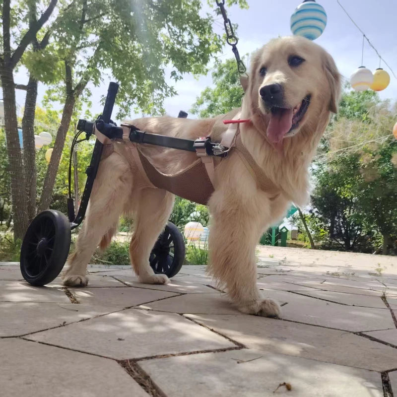 Pet Dog Wheelchair Rehabilitation Walking Assist Cart Training