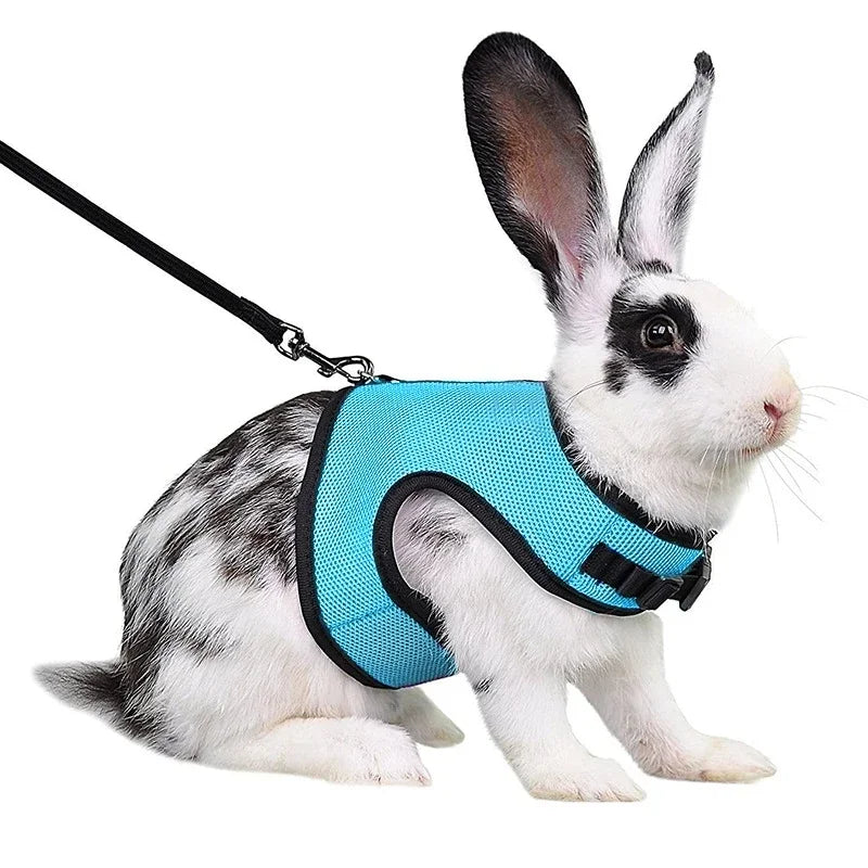 Breathable Pet Vest Harness For Small Animals - Adjustable Comfort Fit