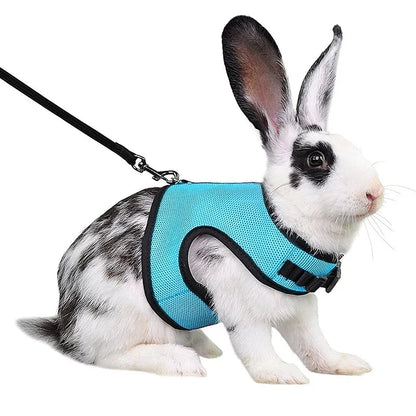 Breathable Pet Vest Harness For Small Animals - Adjustable Comfort Fit