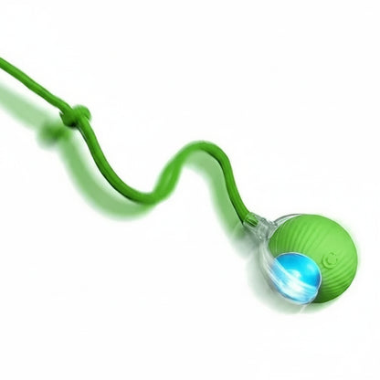 Interactive Rolling Ball Toy for Dogs and Cats - Smart Pet Training