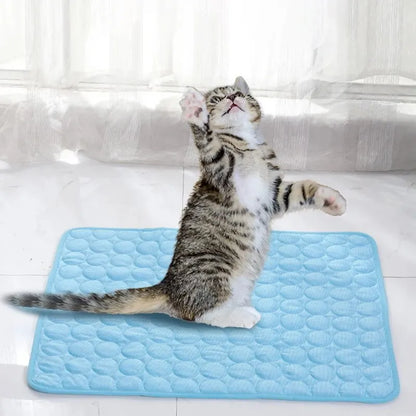 Pet Ice Cooling Mat for Dogs Cats Summer Bed Pad