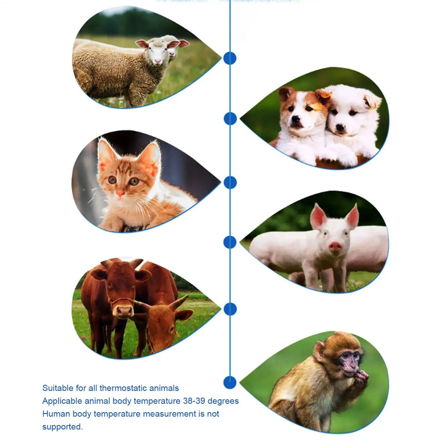 Infrared Pet Thermometer - Non-Contact Digital Animal Temperature
