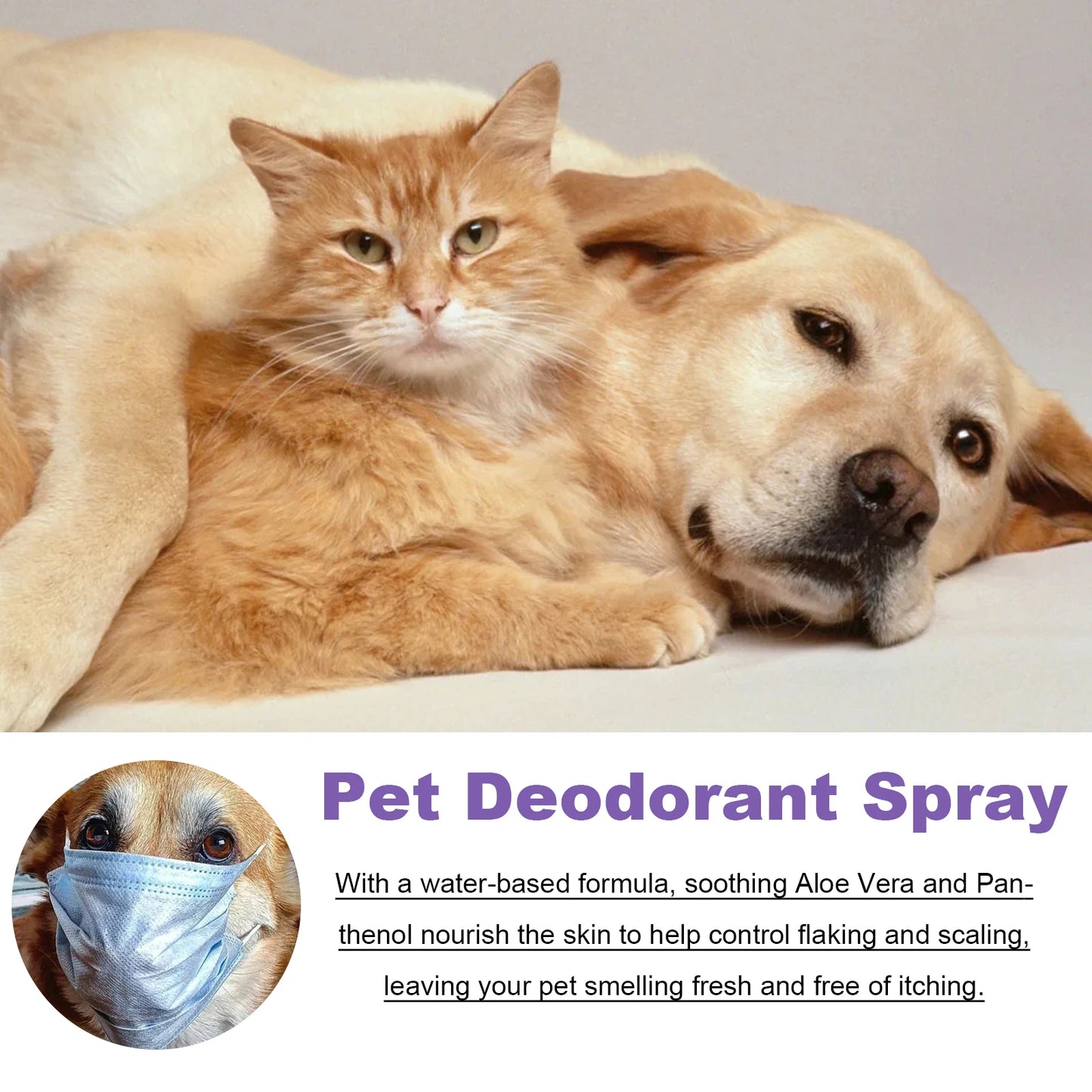 Pet Odor Eliminator Spray - Dog Cat Urine Smell Remover 50ml