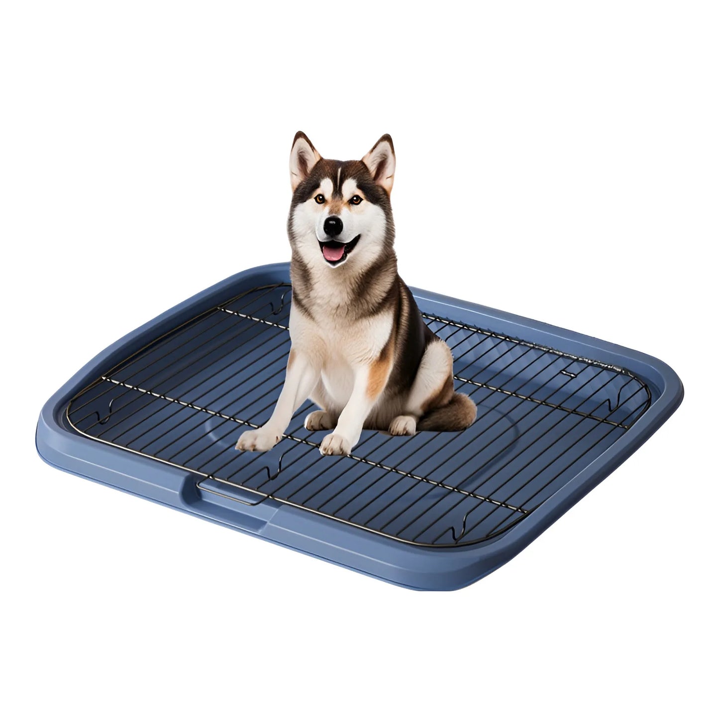 Large Dog Toilet Training Equipment - Stainless Steel Poop Collector