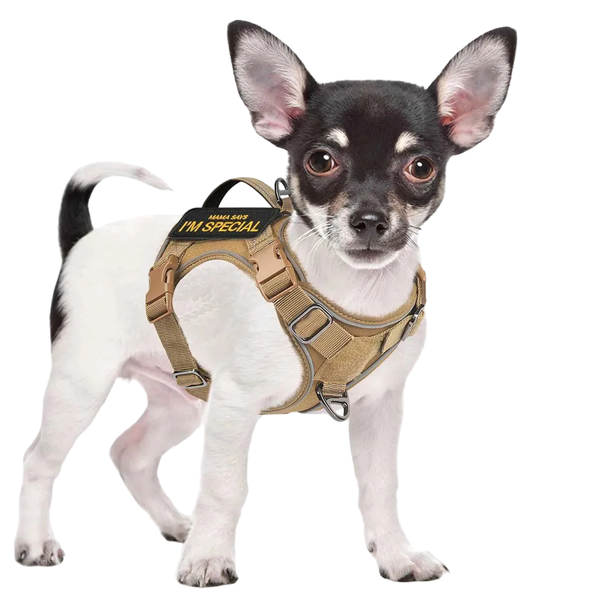 Tactical Dog Harness For Small Dogs With Handle And Reflective Vest