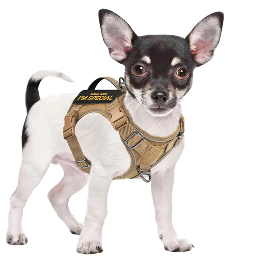 Tactical Dog Harness For Small Dogs With Handle And Reflective Vest