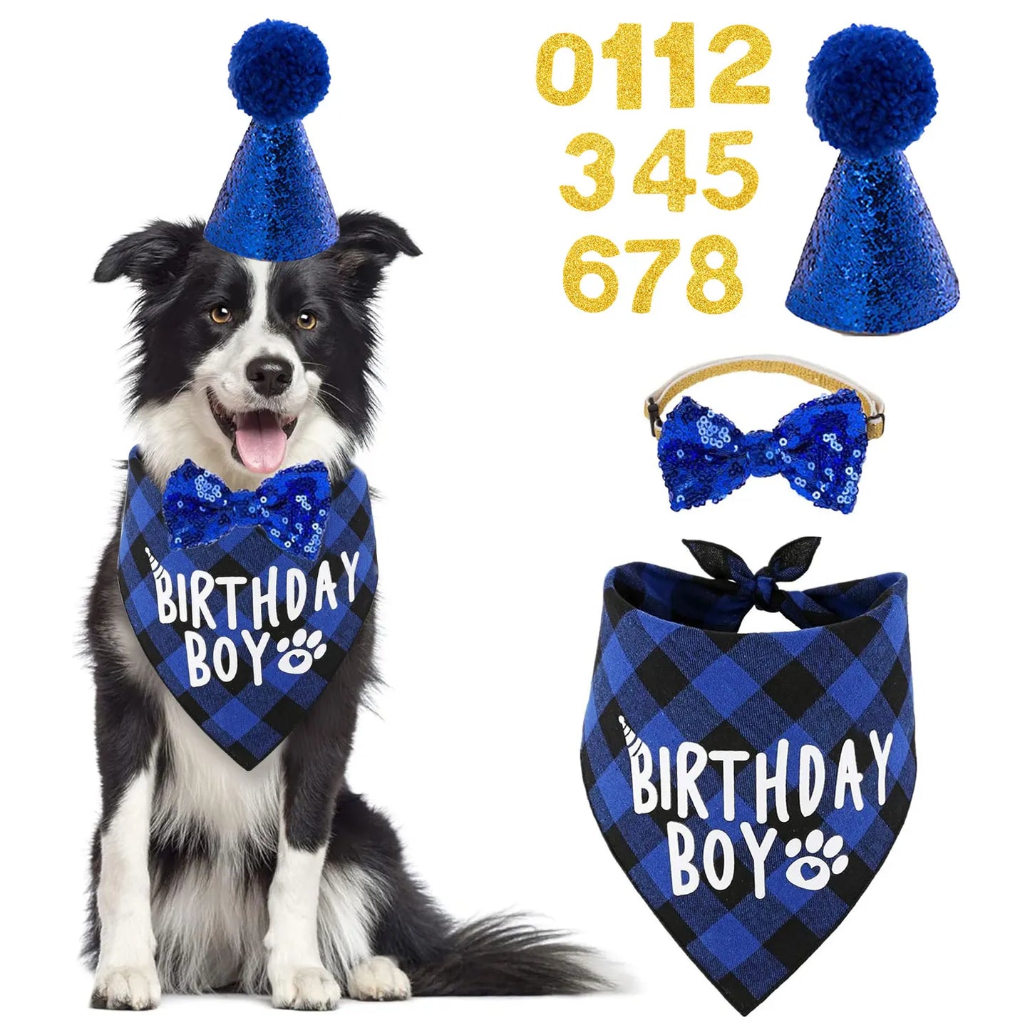 Dog Birthday Party Supplies Set With Hat And Bandana For Medium Large Dogs