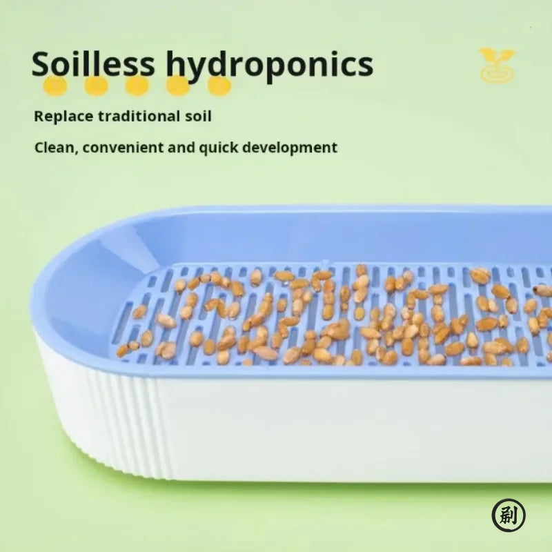 Hydroponic Cat Grass Growing Kit - Soilless Planting Pot Set