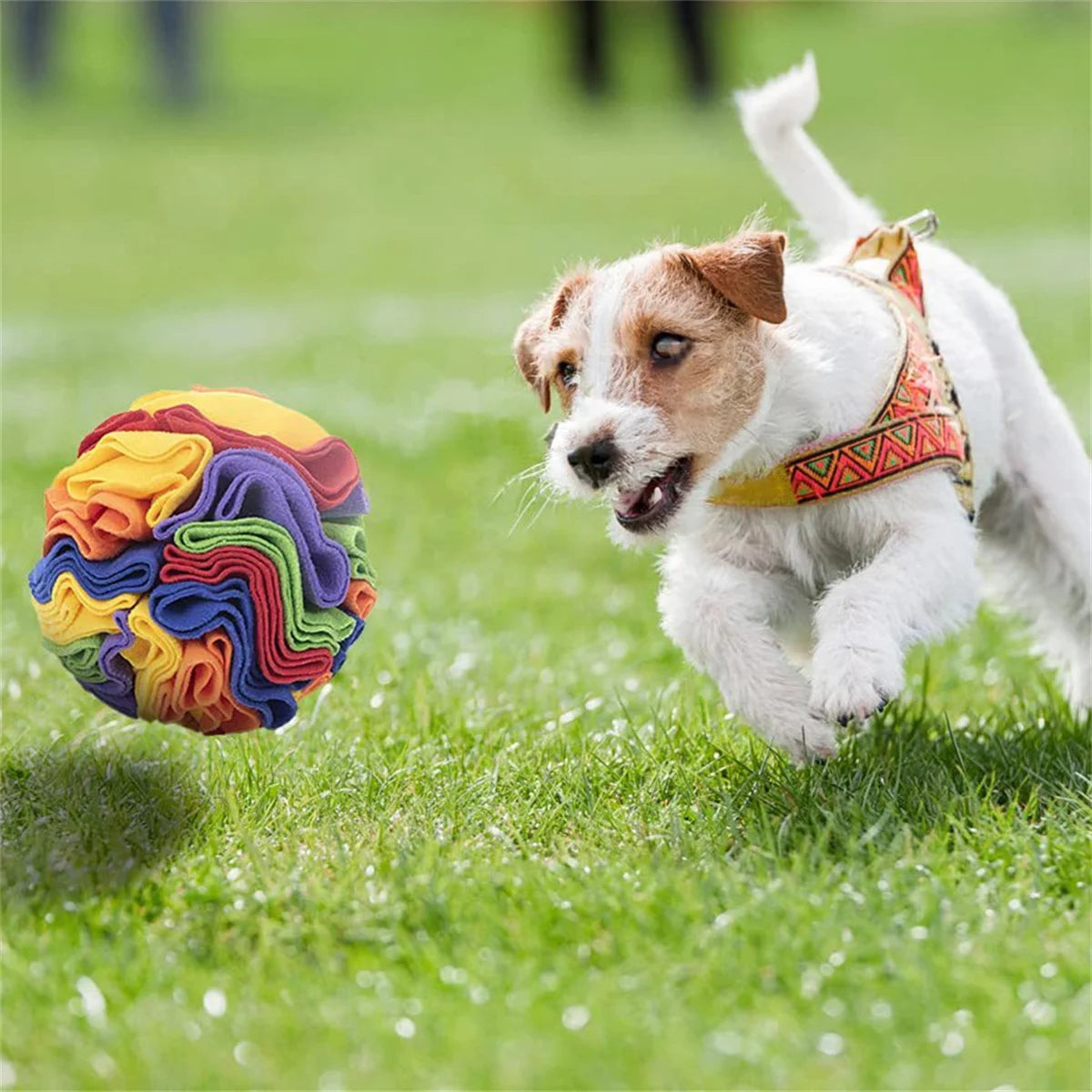 Dog Sniffing Ball Puzzle Toy - Interactive IQ Training Feeder
