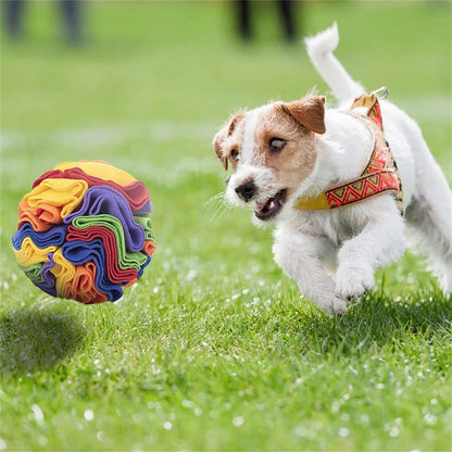 Dog Sniffing Ball Puzzle Toy - Interactive IQ Training Feeder