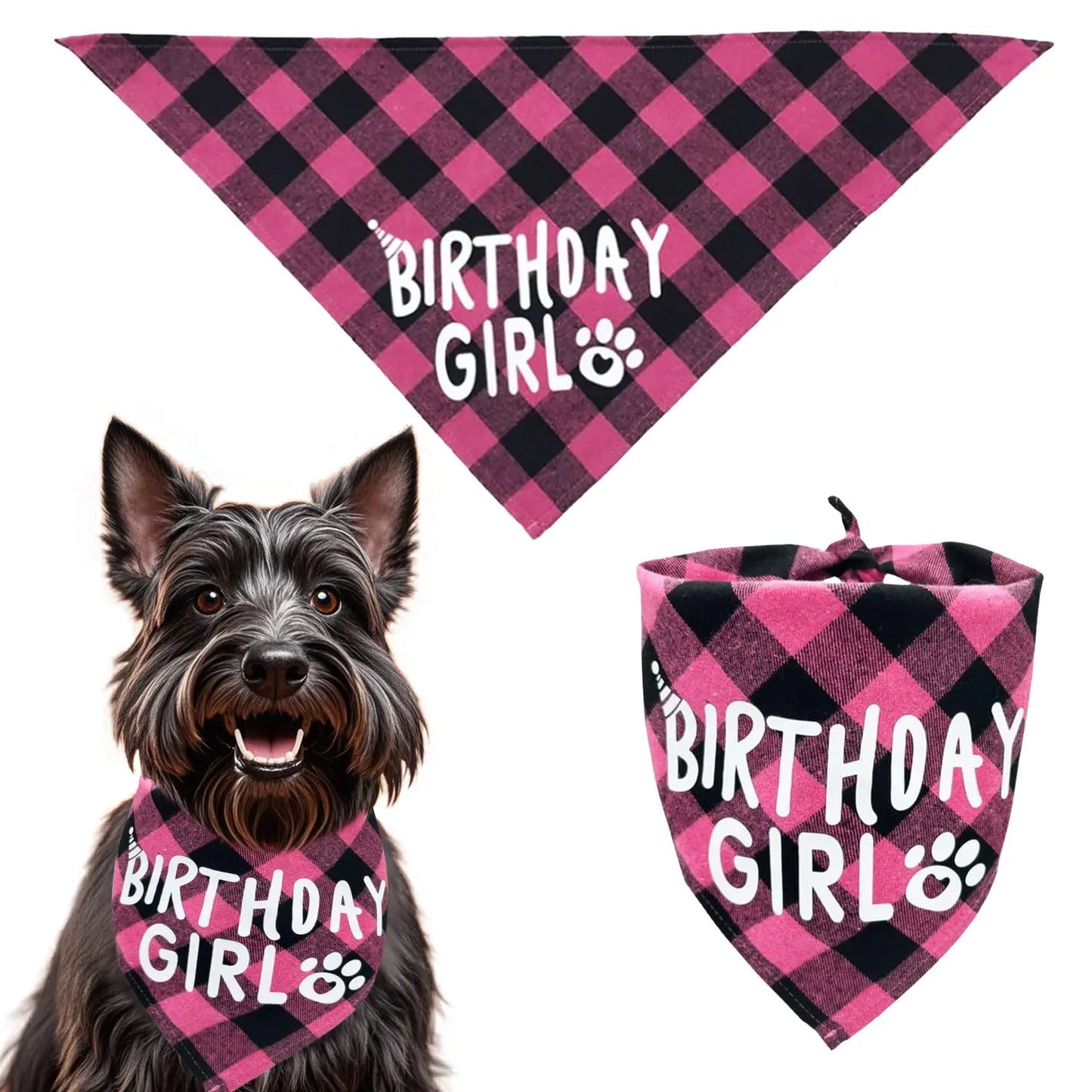 Dog Birthday Party Supplies Set With Hat And Bandana For Medium Large Dogs