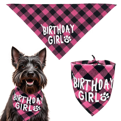 Dog Birthday Party Supplies Set With Hat And Bandana For Medium Large Dogs