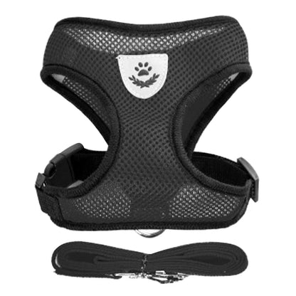 Dog Harness For Small Dogs - Adjustable Pet Harness And Leash Set